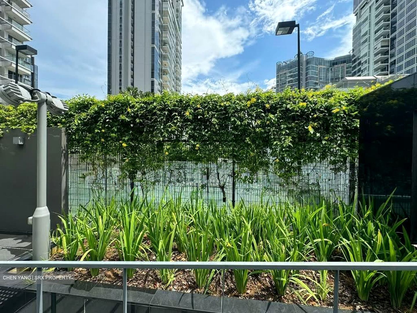 Honolulu Tower (D10), Apartment #566833591